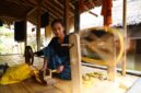 Para perempuan suku Sasak di Lombok dengan tekun menenun kain songket, sebuah warisan budaya yang diwariskan turun-temurun dan sarat akan makna filosofis. Keindahan motif pada kain ini menjadi cerminan kekayaan tradisi yang terus dijaga oleh masyarakat desa.